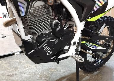 Защита двигателя мотоцикла Progasi Ibiza 300 (ZS175FMN с балансиром) 2023