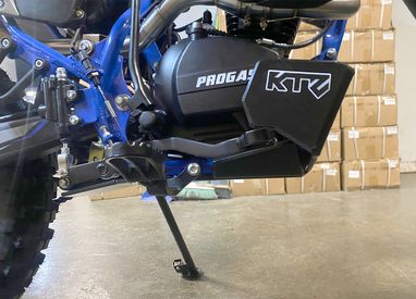 Защита картера Progasi Palma 250 SE (4T ZS165FMM, б.вал) 2025